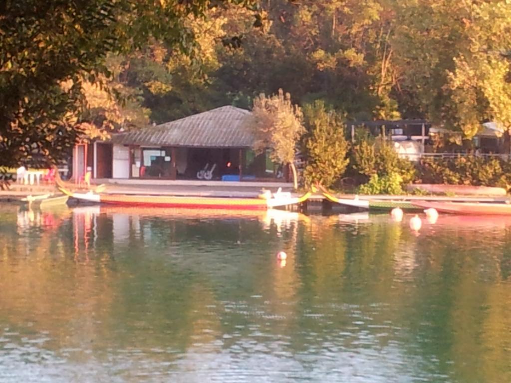 Guest house Affittacamere Eur Arcobaleno *
